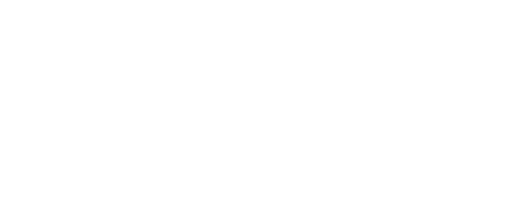لوگو پارس پک